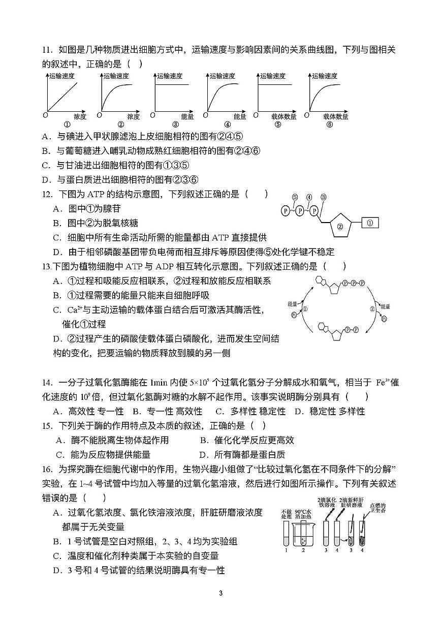 天津市河西区4中2025-2026学年高一上学期第二次月考生物试卷（月考）第3页