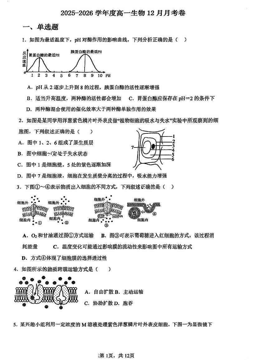 天津市红桥区民族中学2025-2026学年高一上学期第二次月考生物试题（月考）第1页