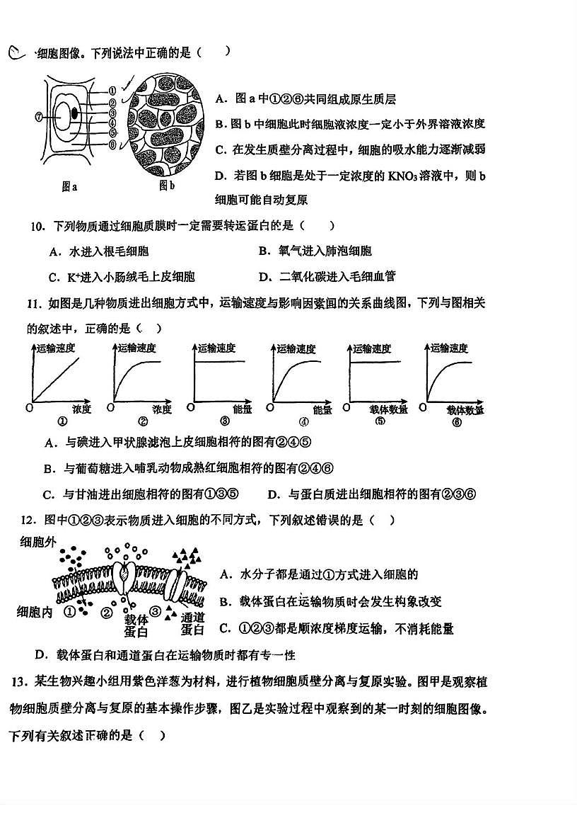 天津市红桥区民族中学2025-2026学年高一上学期第二次月考生物试题（月考）第3页