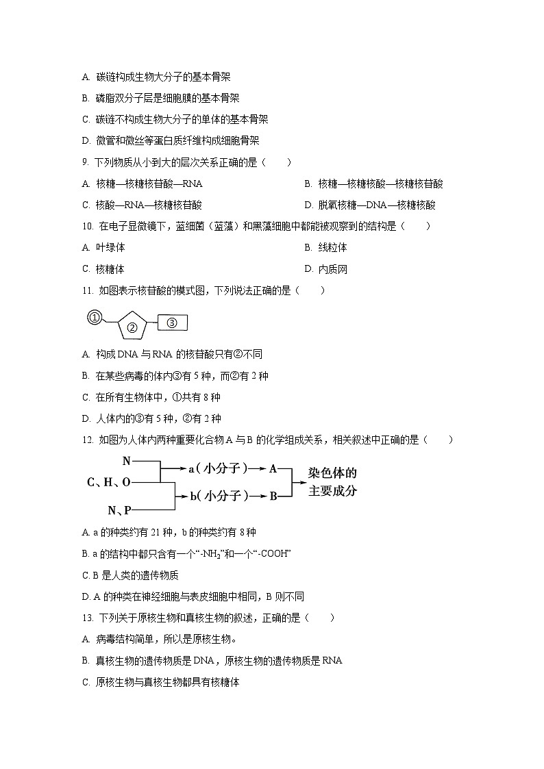 2025-2026学年陕西省咸阳市乾县部分学校高一上学期期中考试学生物试卷（学生版）第2页