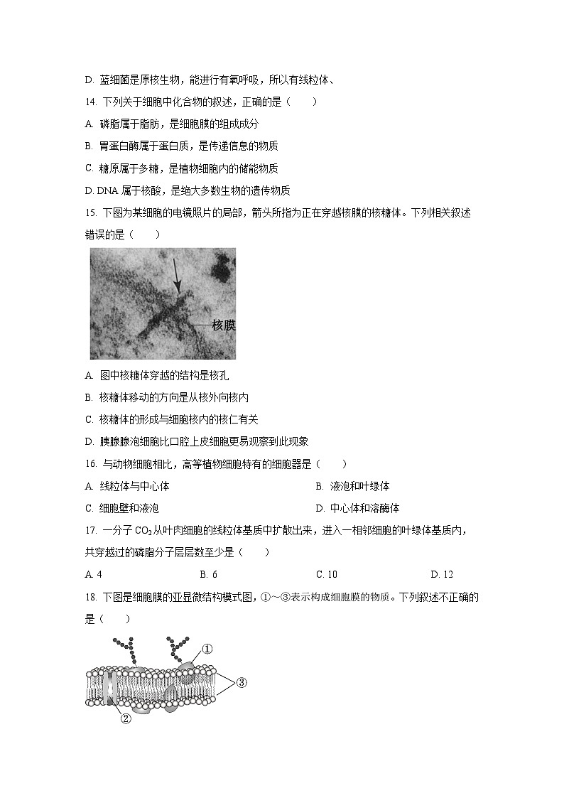 2025-2026学年陕西省咸阳市乾县部分学校高一上学期期中考试学生物试卷（学生版）第3页