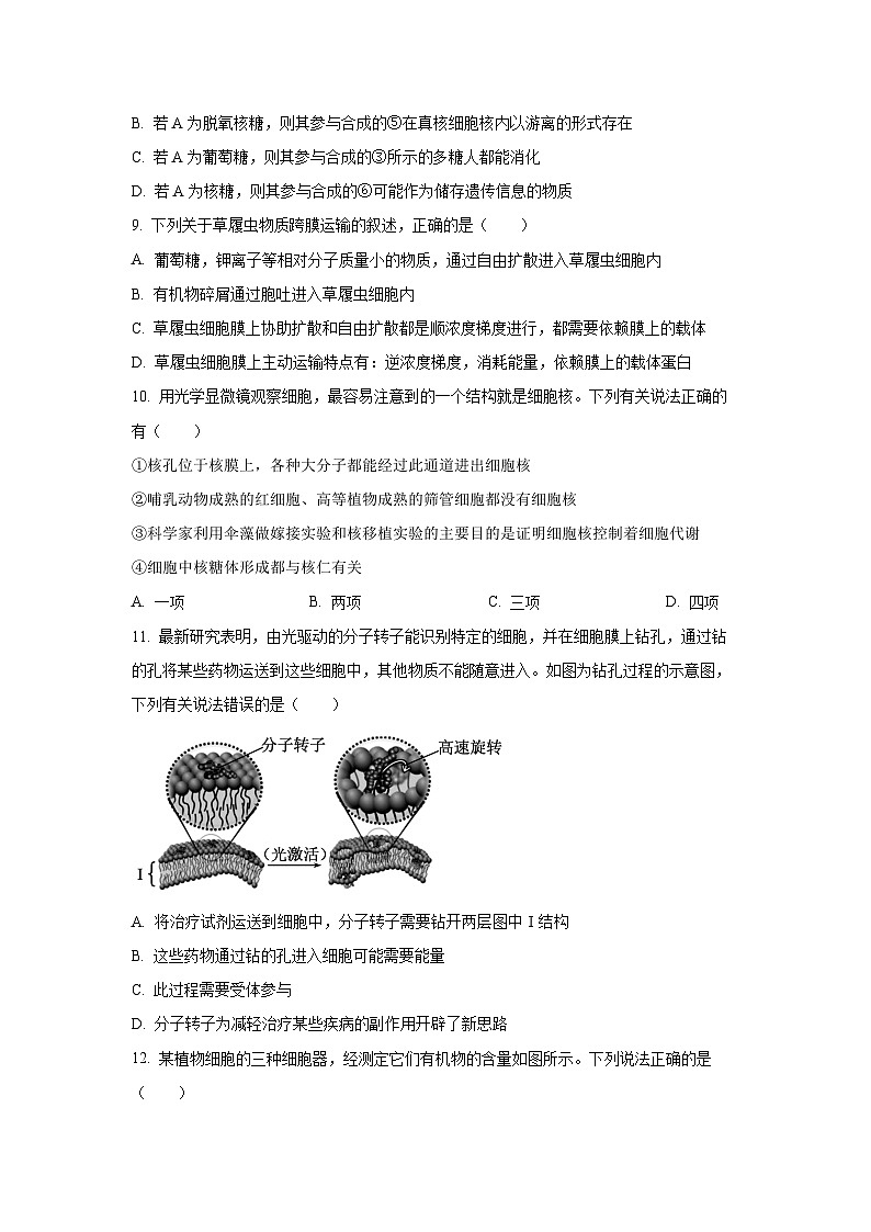 2025-2026学年湖北省楚天协作体高一上学期11月期中生物试卷（学生版）第3页