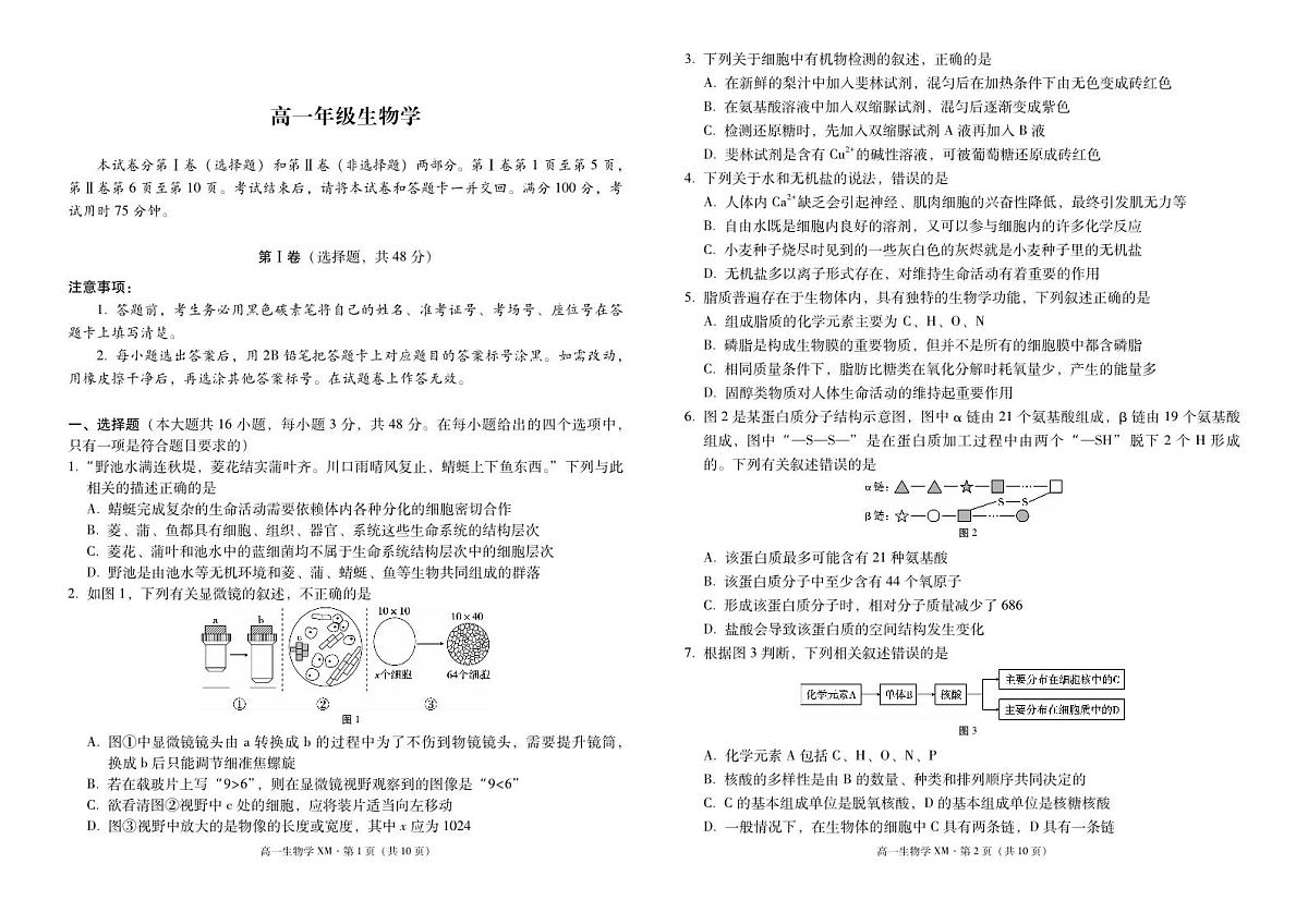 云南省西双版纳傣族自治州部分学校2024-2025学年高一上学期12月月考试题生物试卷（无答案）第1页