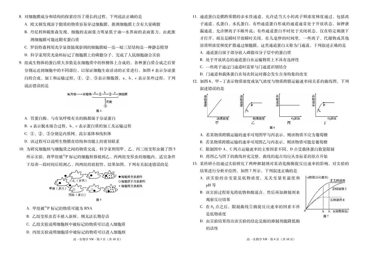 云南省西双版纳傣族自治州部分学校2024-2025学年高一上学期12月月考试题生物试卷（无答案）第2页