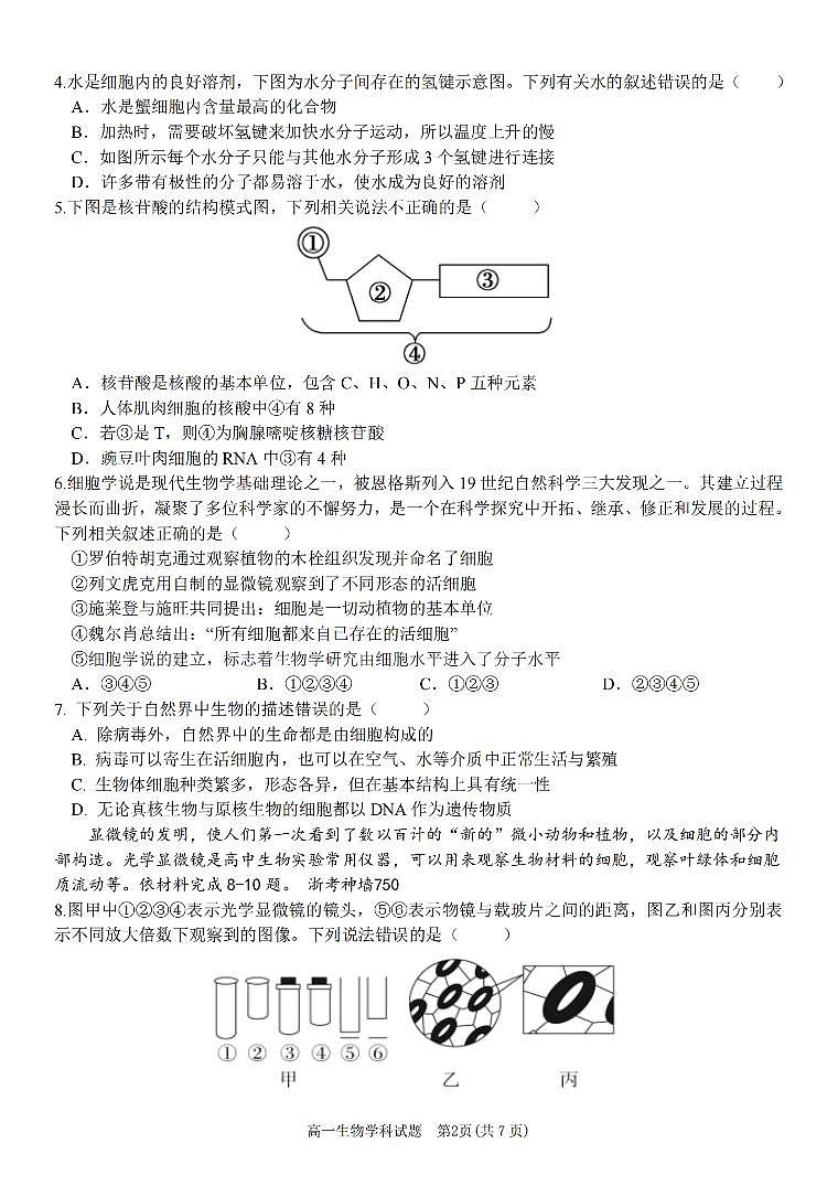 浙江省2024学年高一第一学期浙江七彩阳光新高考研究联盟期中联考生物试卷（无答案）第2页