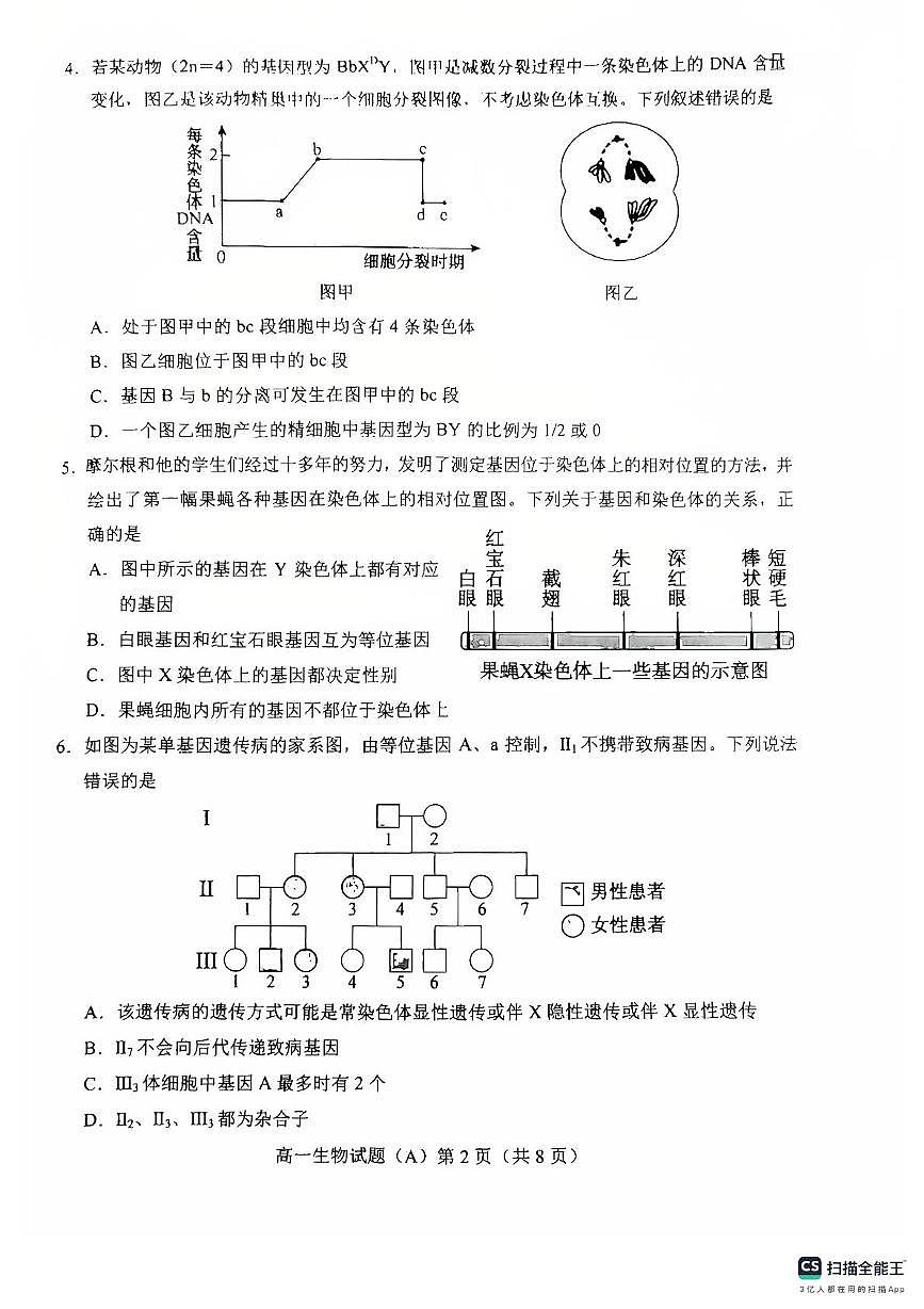 山东省菏泽市2024-2025学年高一下学期期中考试生物试题（A）（含答案）第2页