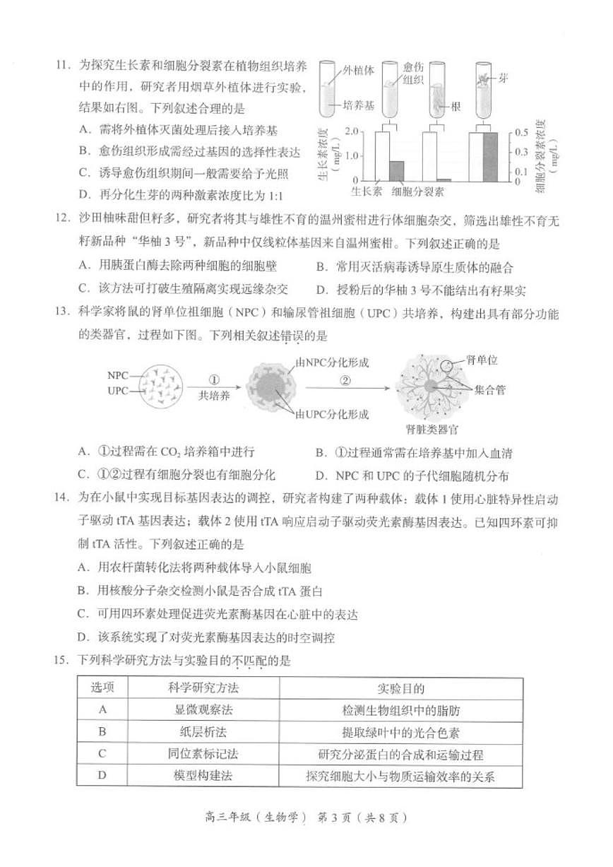 2025-2026学年北京市海淀区高三上学期1月期末考试生物试题（无答案）第3页