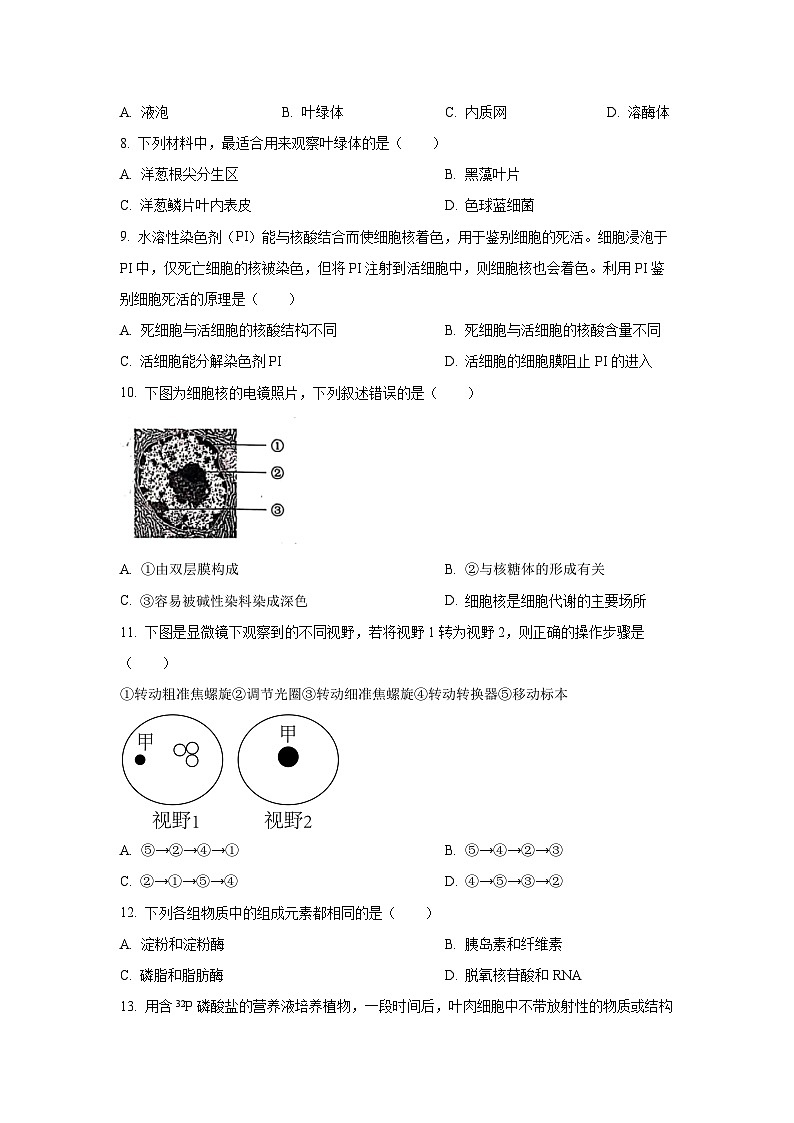 2025-2026学年北京汇文中学教育集团高一上学期期中考试生物试卷（学生版）第2页