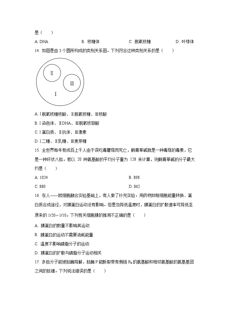 2025-2026学年北京汇文中学教育集团高一上学期期中考试生物试卷（学生版）第3页