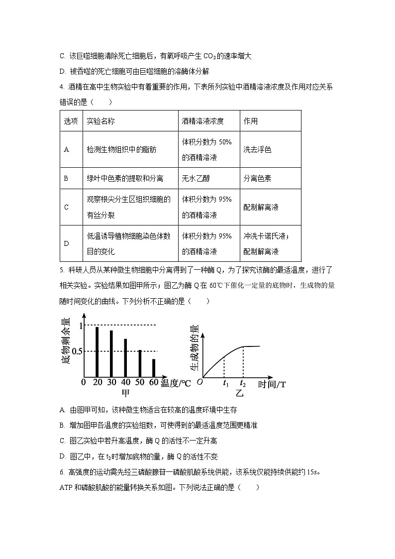 2024-2025学年福建省山海联盟高三上学期期中考试生物试卷（学生版）第2页