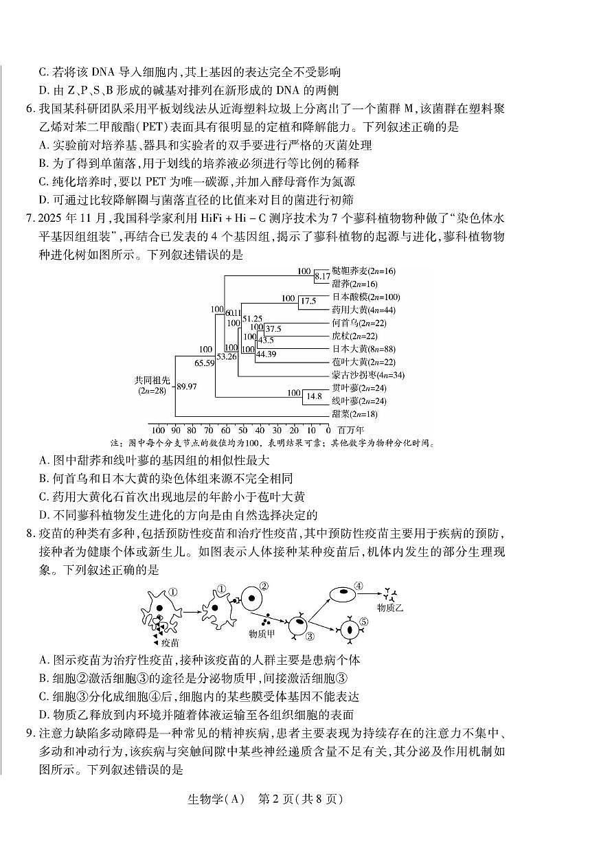 生物丨陕晋青宁四省2026届高三上学期1月第二次联考（A卷）试卷及答案第2页