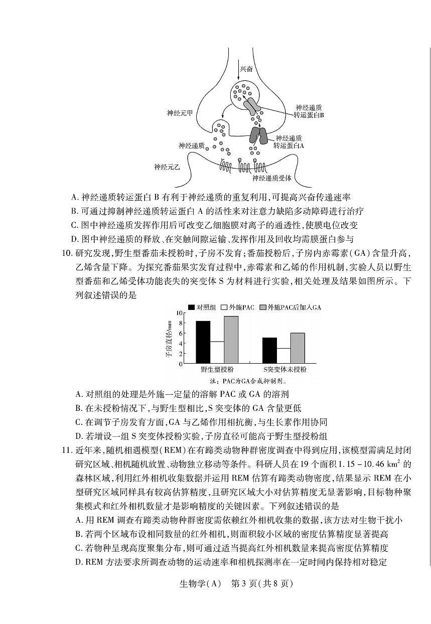 生物丨陕晋青宁四省2026届高三上学期1月第二次联考（A卷）试卷及答案第3页