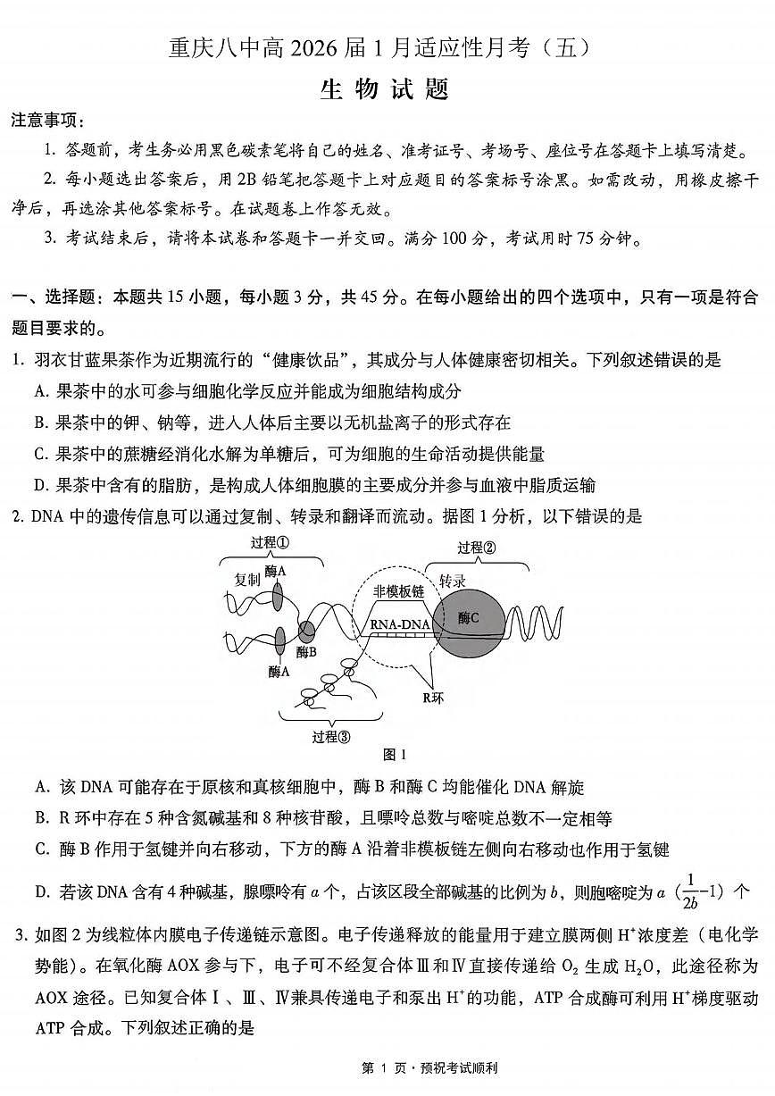生物丨重庆市第八中学2026届高三上学期1月高考适应性月考卷（五）试卷及答案第1页