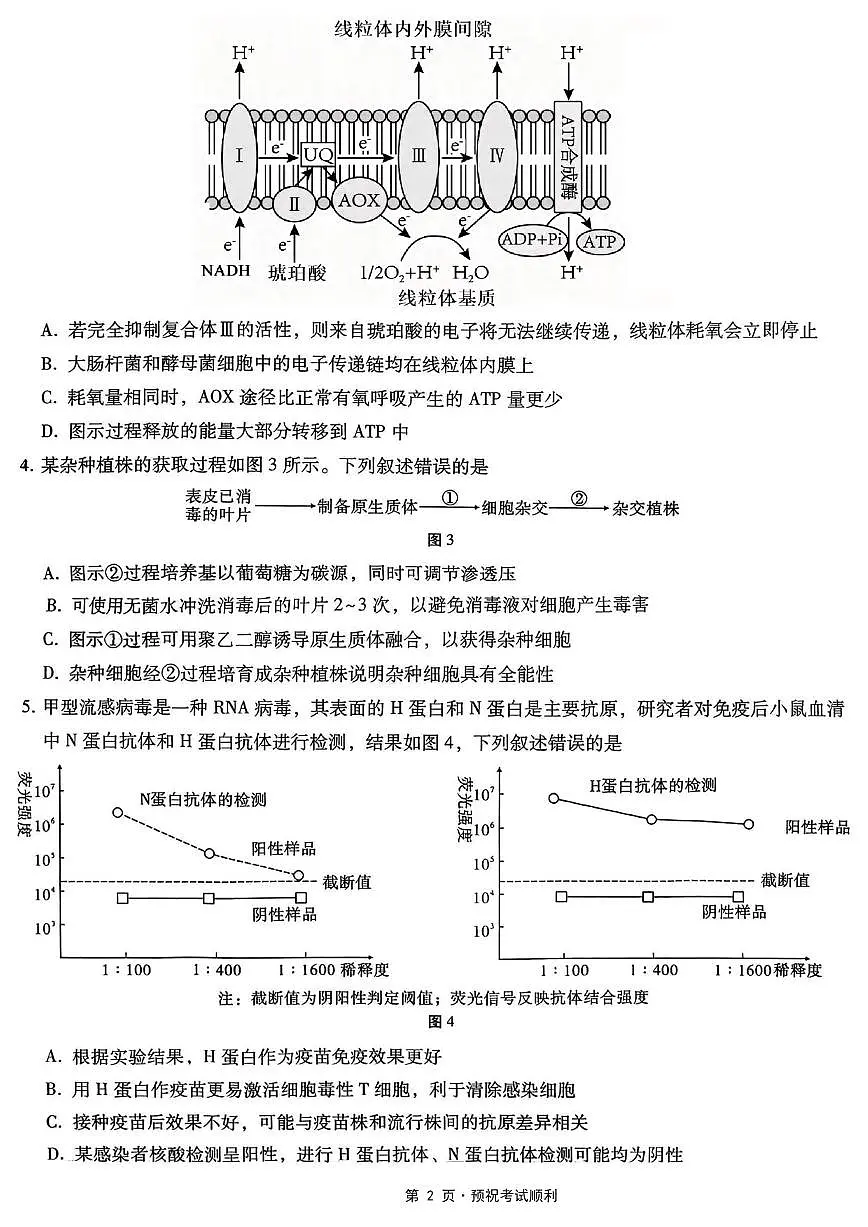 生物丨重庆市第八中学2026届高三上学期1月高考适应性月考卷（五）试卷及答案第2页