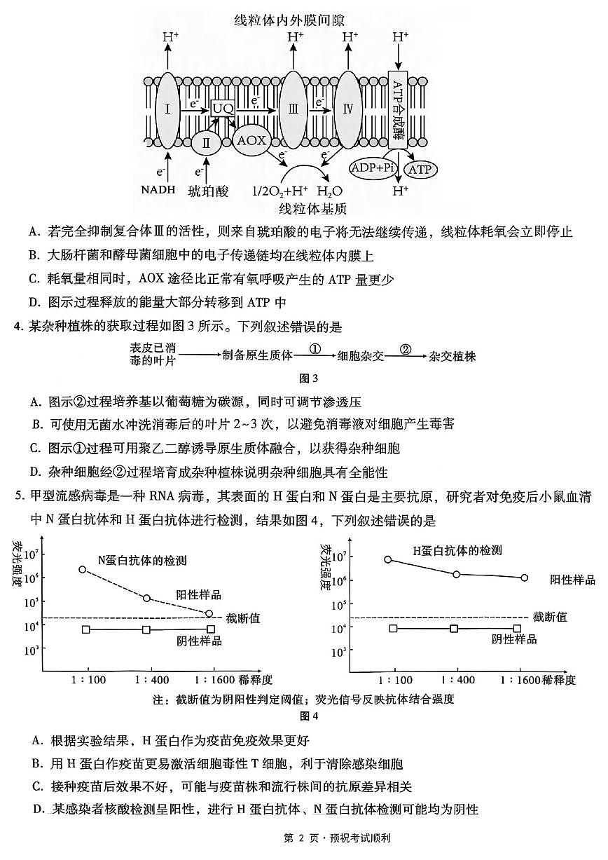 生物丨重庆市第八中学2026届高三上学期1月高考适应性月考卷（五）试卷及答案第2页