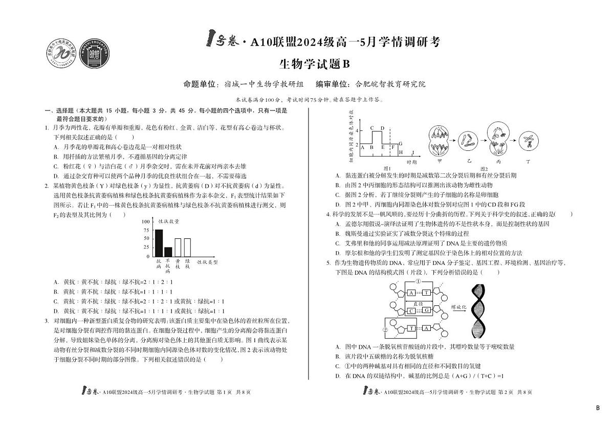 安徽省1号卷A10联盟2024级高一下学期5月学情调研考生物试卷（B卷）（无答案）第1页