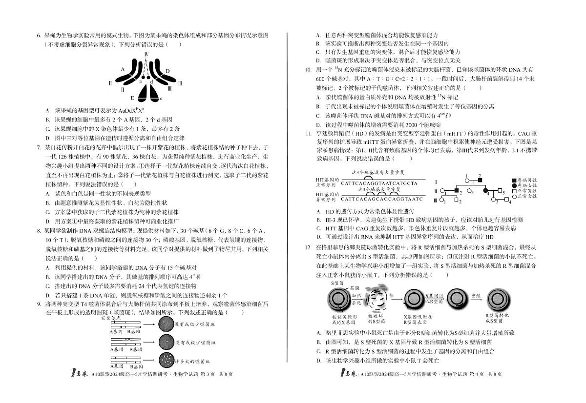 安徽省1号卷A10联盟2024级高一下学期5月学情调研考生物试卷（B卷）（无答案）第2页