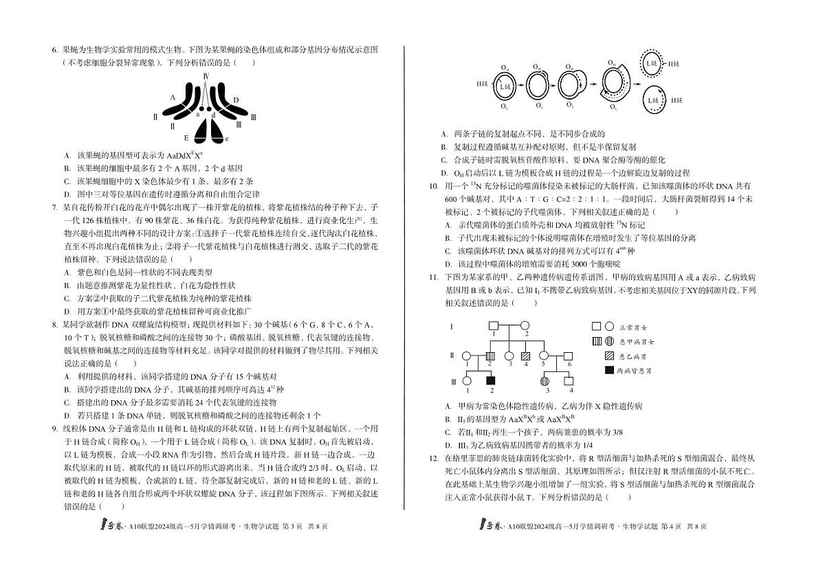 安徽省1号卷A10联盟2024级高一下学期5月学情调研考生物试卷（无答案）第2页