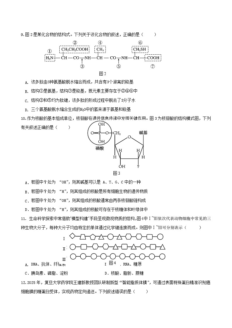 贵州省贵阳市2025_2026学年高一生物上学期12月月考试题第3页