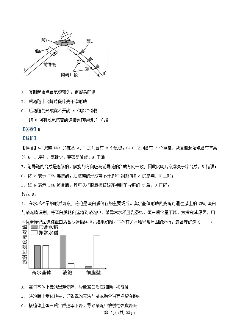 重庆市沙坪坝区2025_2026学年高三生物上学期12月月考试题含解析第2页