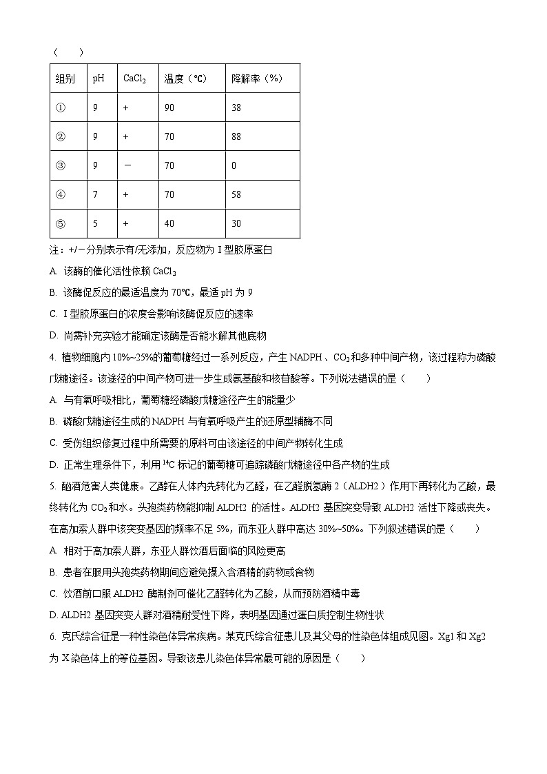2026届贵州省毕节市高三上学期高考第一次适应性考试生物试题（原卷版）第2页