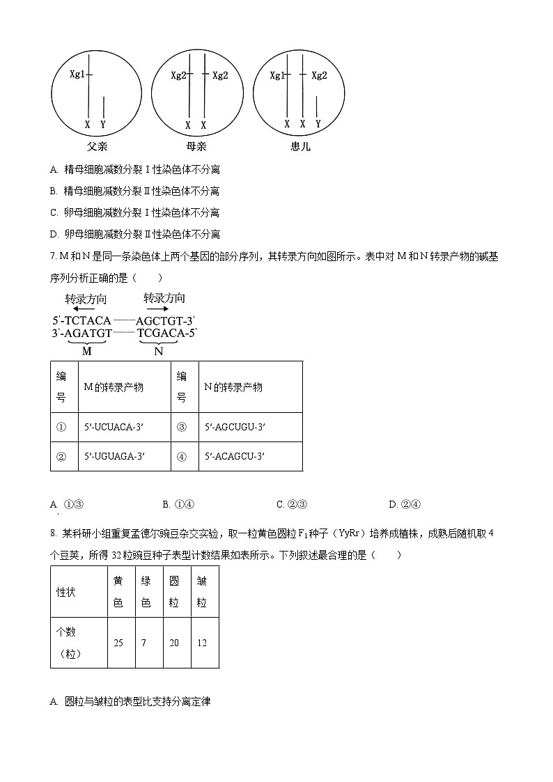 2026届贵州省毕节市高三上学期高考第一次适应性考试生物试题（原卷版）第3页
