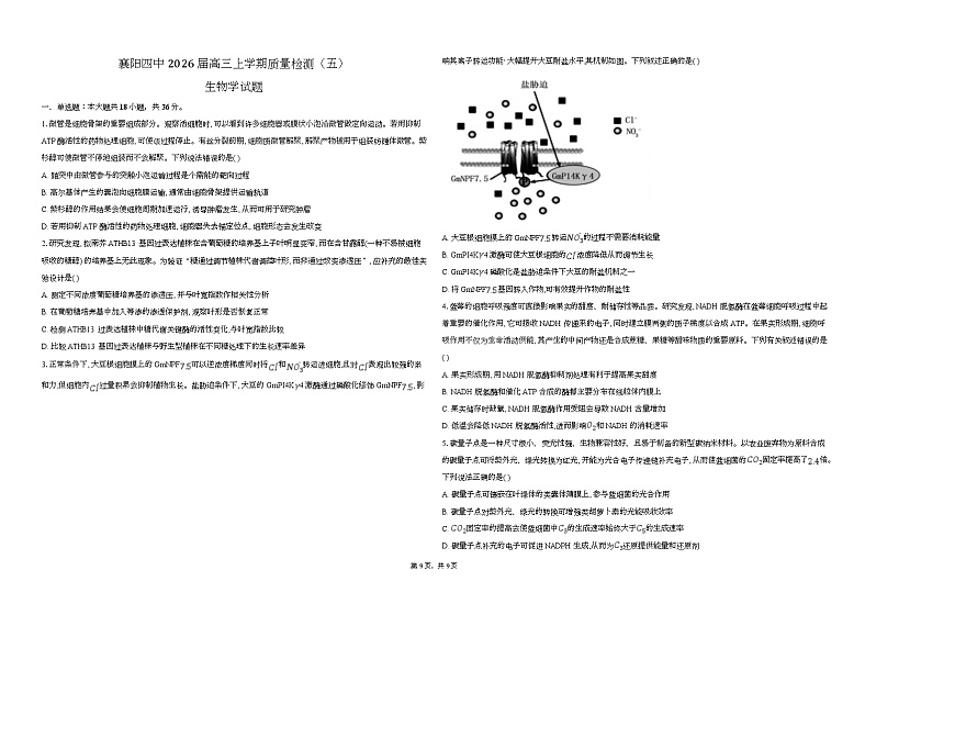湖北省襄阳市第四中学2026届高三上学期1月月考生物试题（Word版附答案）第1页