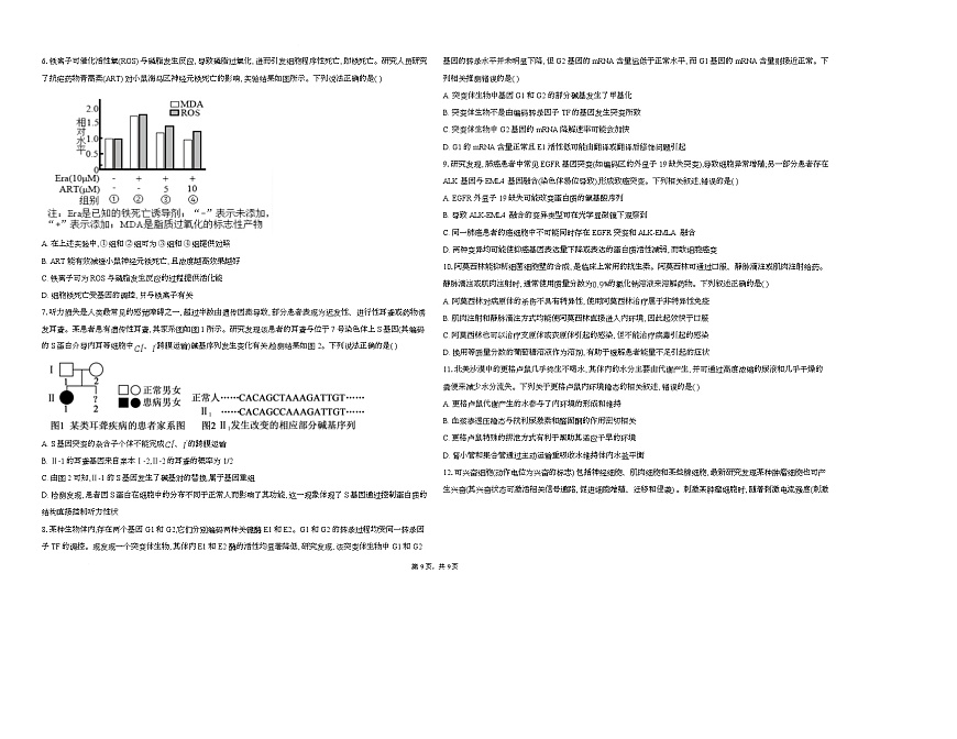 湖北省襄阳市第四中学2026届高三上学期1月月考生物试题（Word版附答案）第2页