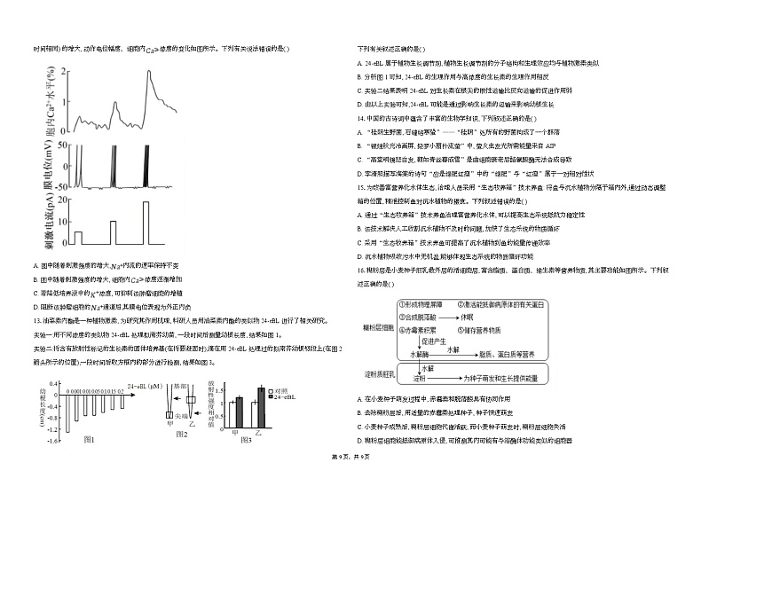 湖北省襄阳市第四中学2026届高三上学期1月月考生物试题（Word版附答案）第3页