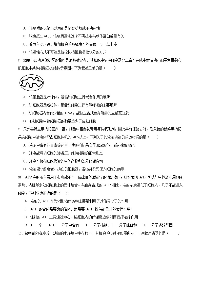 甘肃省酒泉市普通高中2025-2026学年高一上学期1月期末考试生物试卷第3页