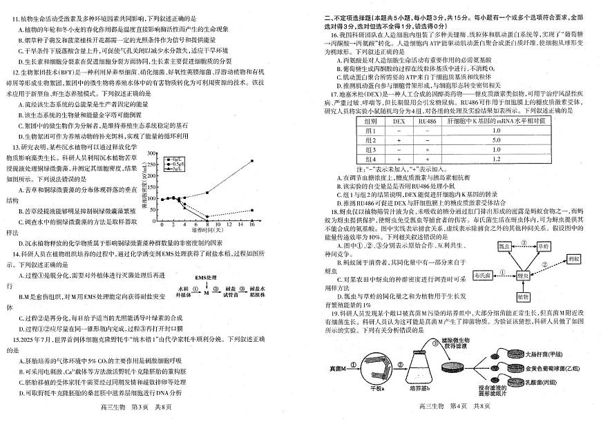 辽宁省朝阳市第一高级中学2025-2026学年高三上学期1月期末考试生物试题第2页