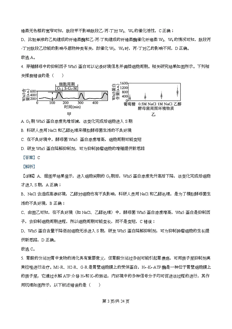 重庆市第一中学校2025—2026学年高三上学期第六次周测生物试题 Word版含解析第3页