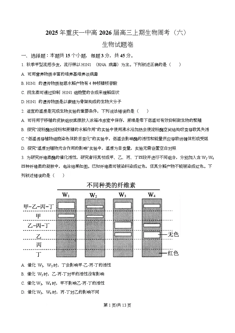 重庆市第一中学校2025—2026学年高三上学期第六次周测生物试题 Word版无答案第1页