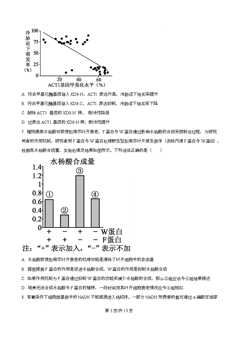 重庆市第一中学校2025—2026学年高三上学期第六次周测生物试题 Word版无答案第3页
