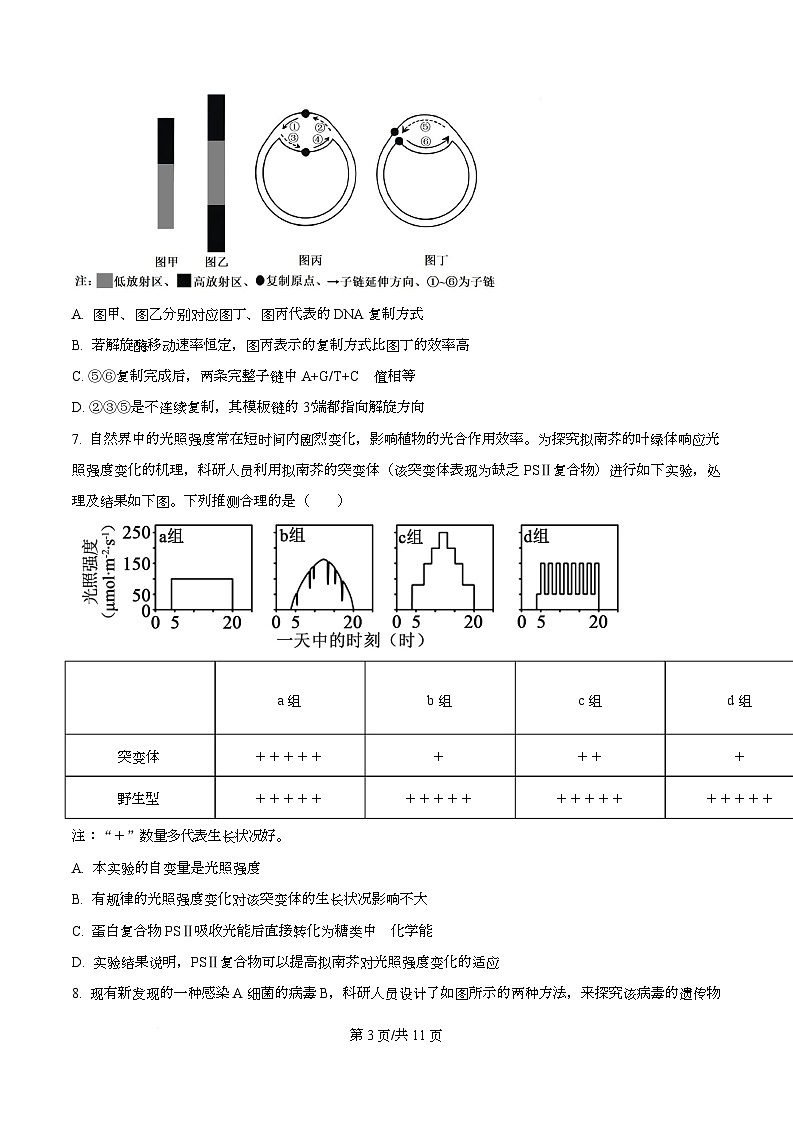 重庆市第一中学校2025-2026学年高三上学期周考5生物试题  Word版无答案第3页