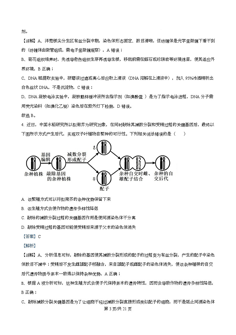 重庆市第一中学校2025-2026学年高三上学期生物周考（一）  Word版含解析第3页