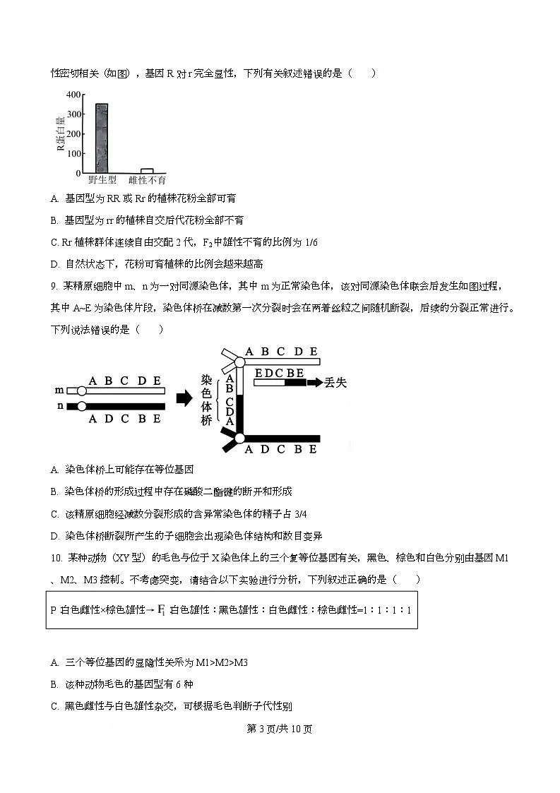 重庆市第一中学校2025-2026学年高三上学期生物周考（一） Word版无答案第3页