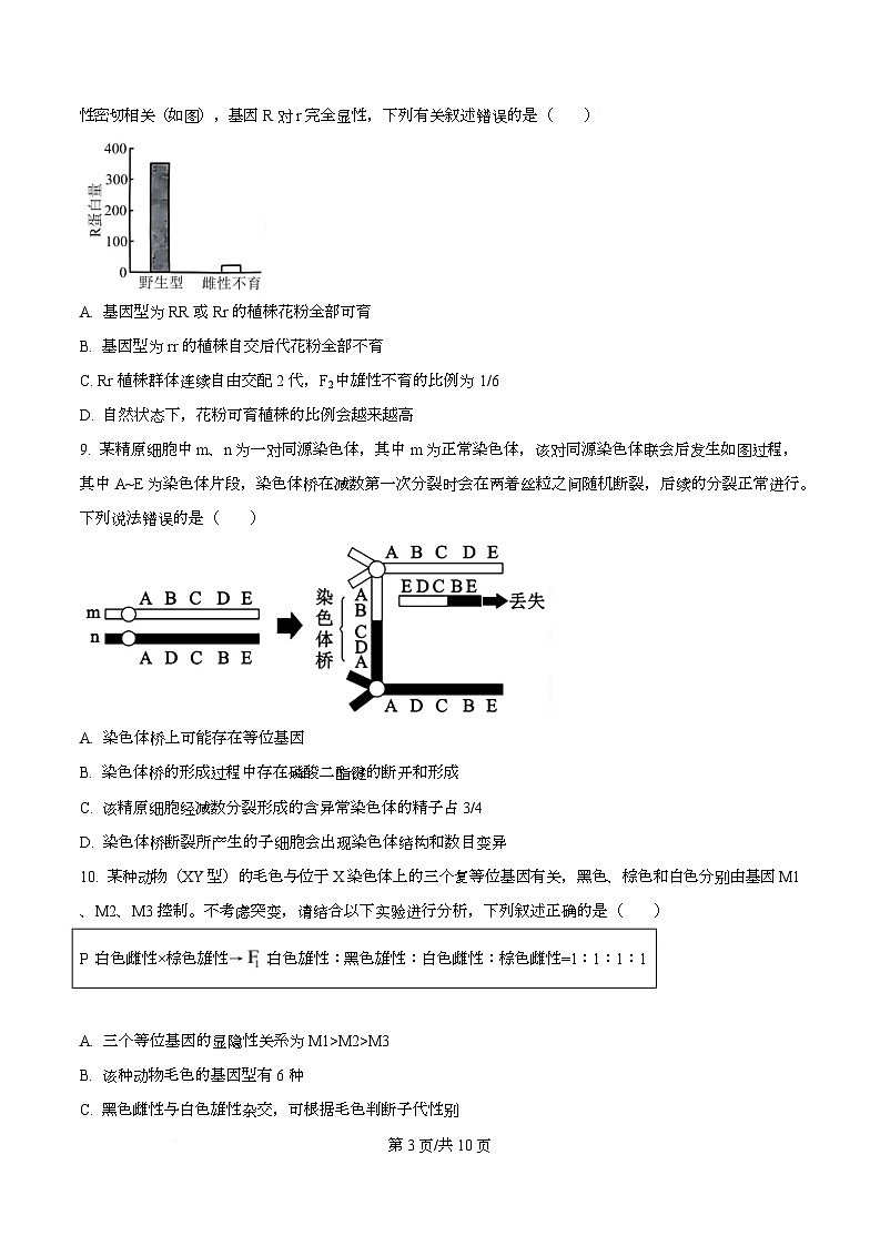 重庆市第一中学校2025-2026学年高三上学期生物周考（一）  Word版无答案第3页