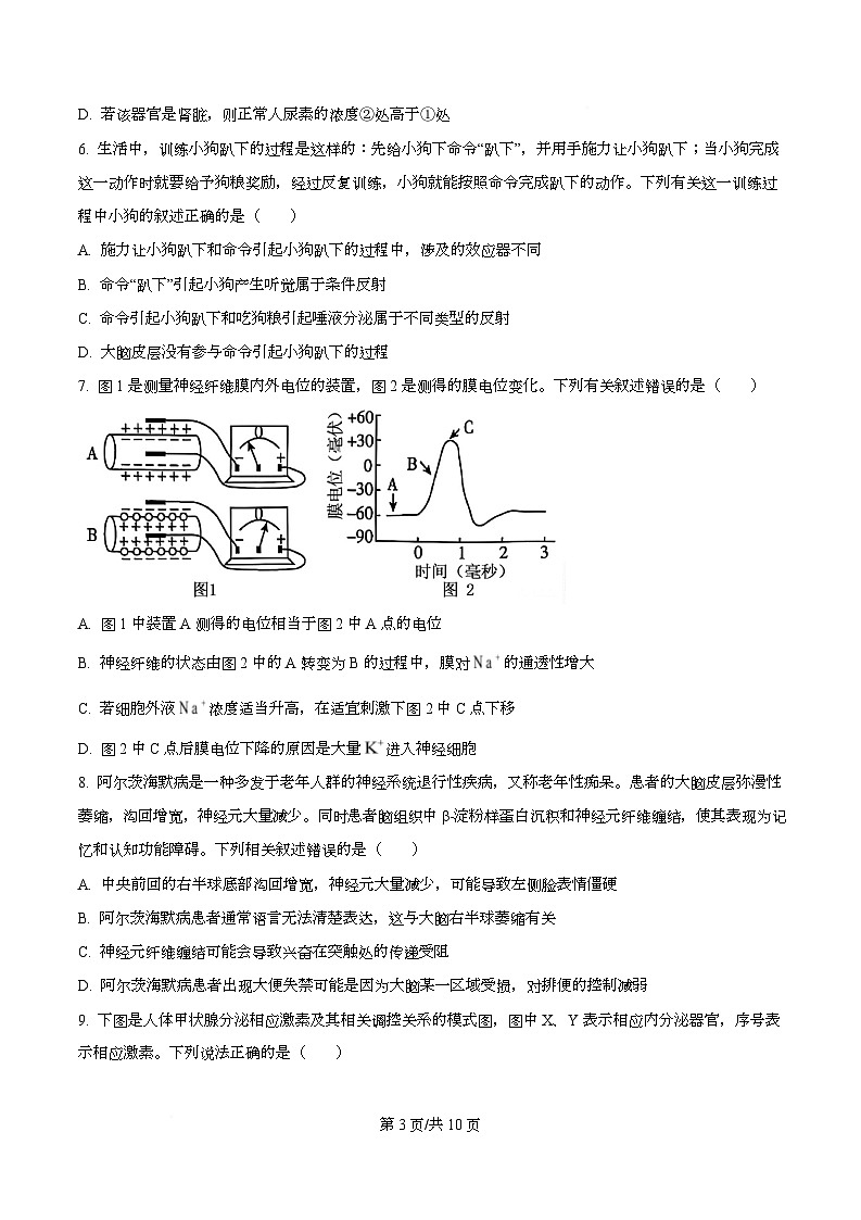 重庆市七校联盟2025-2026学年高二上学期半期考试生物试题 Word版无答案第3页