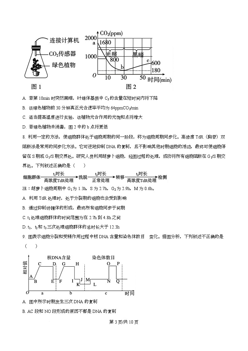 重庆市石柱中学校2024-2025学年高一下学期第二次月考生物试题 Word版无答案第3页