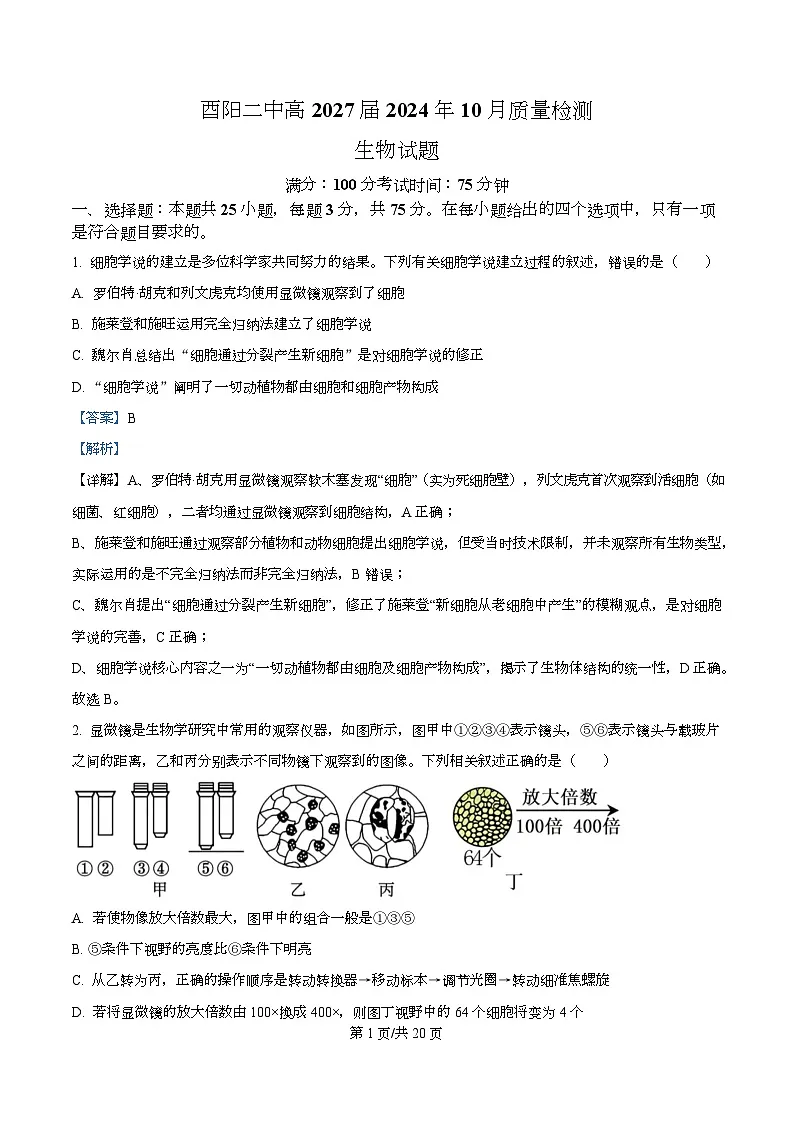重庆市酉阳第二中学校2024-2025学年高一上学期10月月考生物试题 Word版含解析第1页