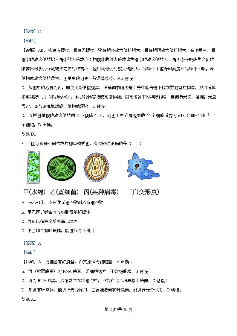 重庆市酉阳第二中学校2024-2025学年高一上学期10月月考生物试题 Word版含解析第2页