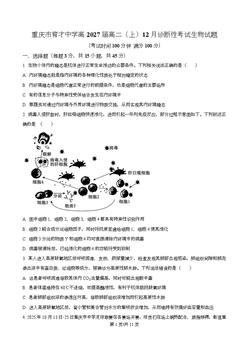 重庆市育才中学2025-2026学年高二上学期12月月考生物试卷  Word版无答案第1页