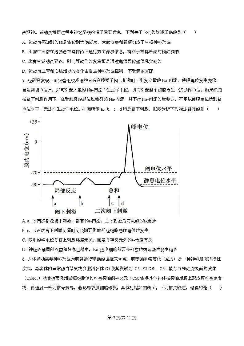 重庆市育才中学2025-2026学年高二上学期12月月考生物试卷  Word版无答案第2页