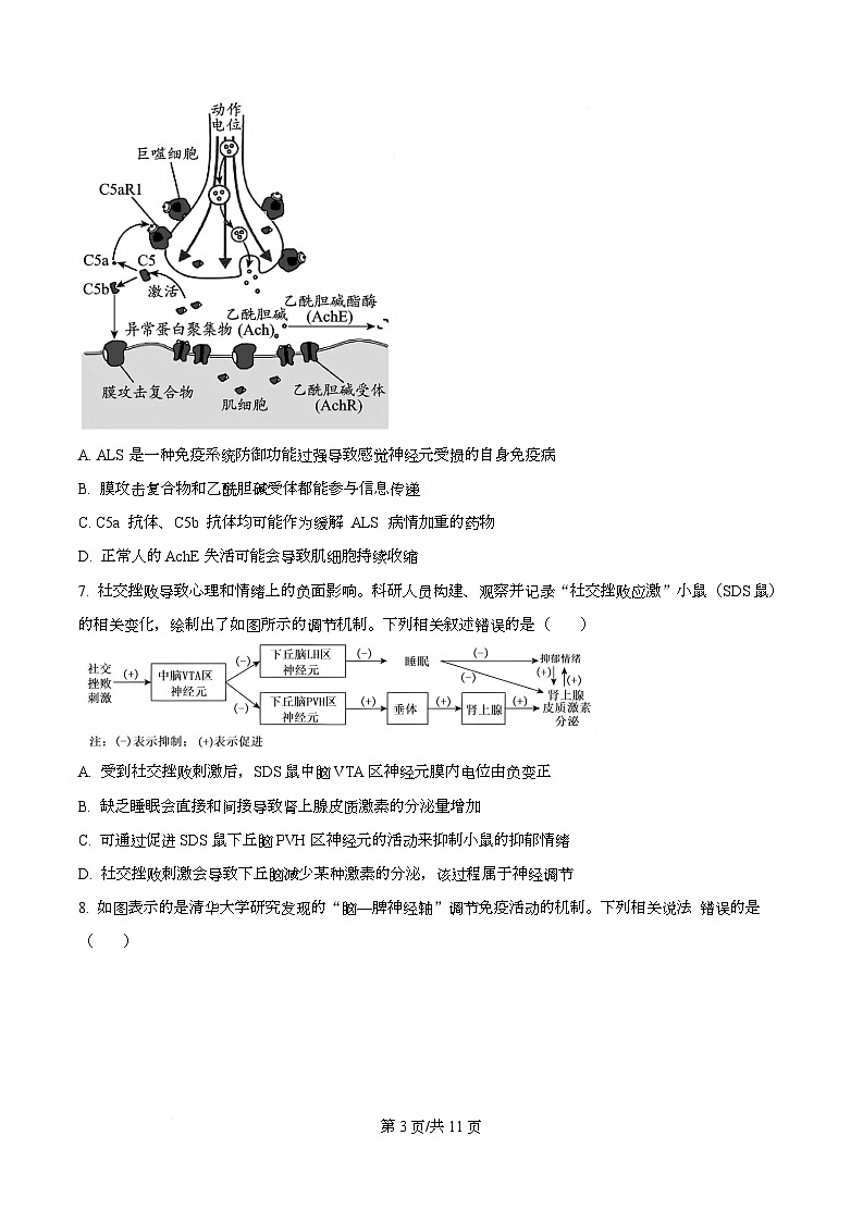 重庆市育才中学2025-2026学年高二上学期12月月考生物试卷  Word版无答案第3页