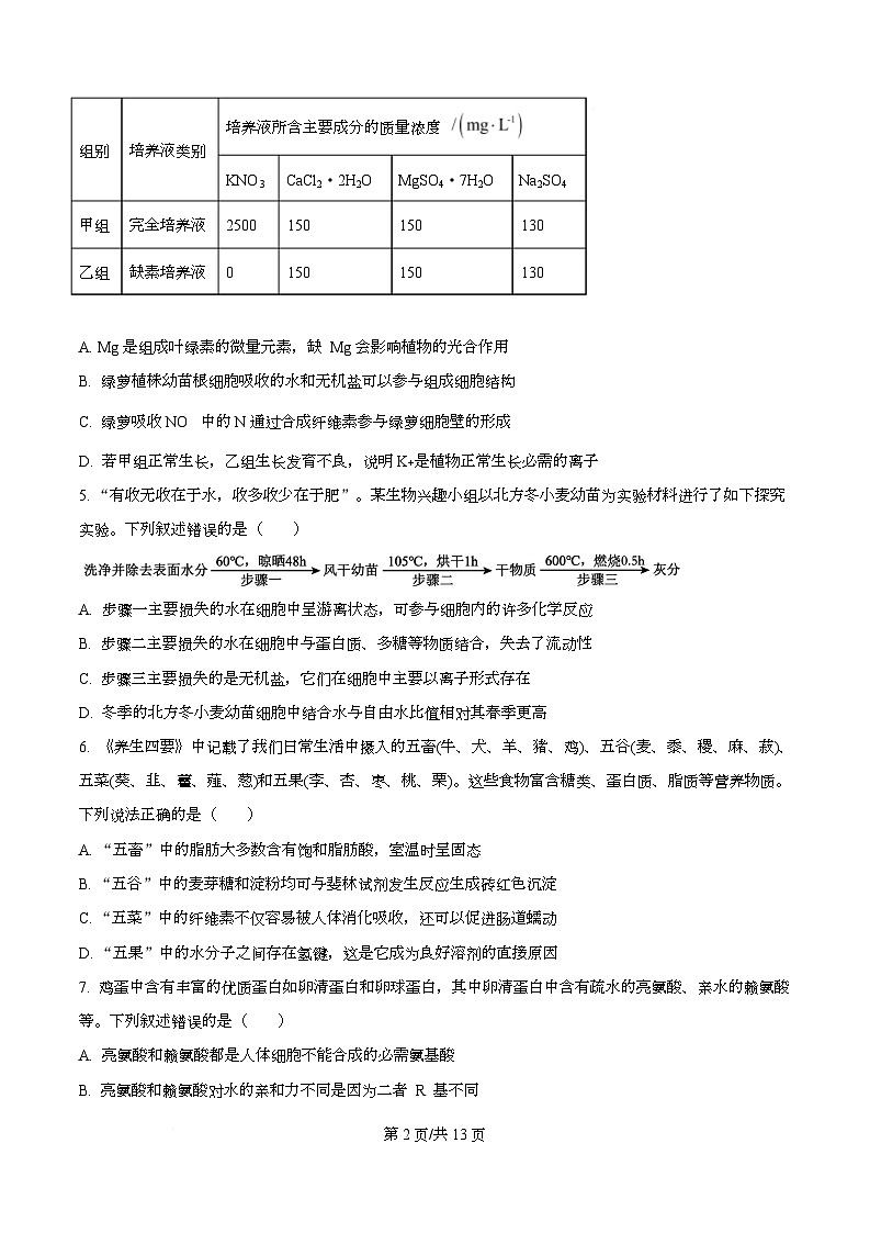 重庆市育才中学2025-2026学年高一上学期12月月考生物试卷  Word版无答案第2页