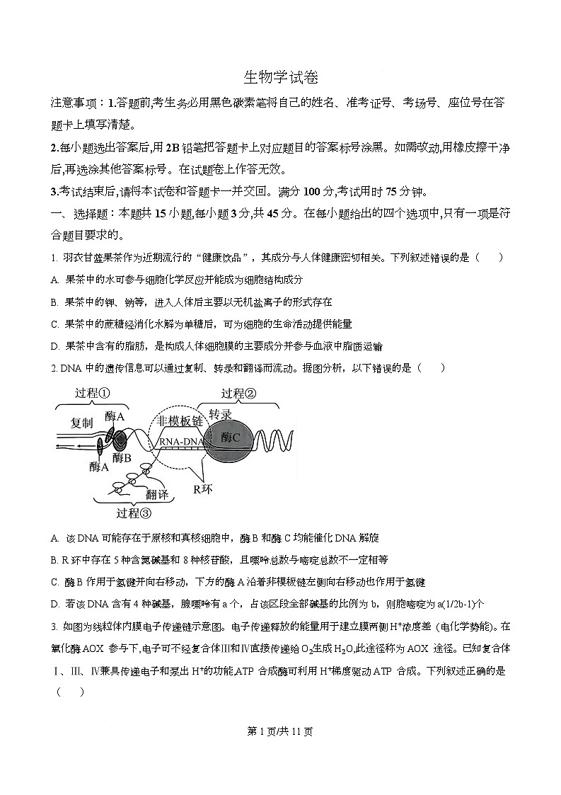 重庆市第八中学校2026届高三一模考试生物试题  Word版无答案第1页