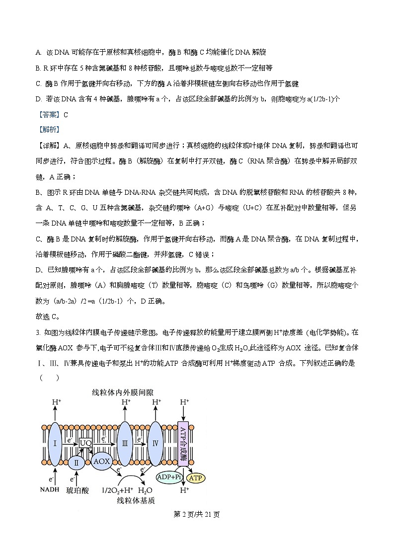 重庆市第八中学校2026届高三一模考试生物试题  Word版含解析第2页