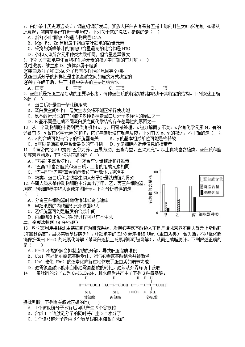 江西省赣州市赣州中学2024-2025学年高一上学期期中考试生物试题第2页