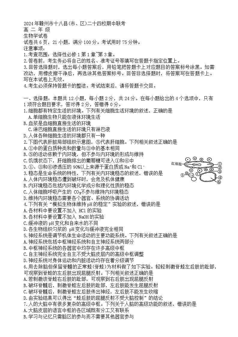 江西省赣州市十八县(市、区)二十四校2024-2025学年高二上学期期中联考生物试卷第1页